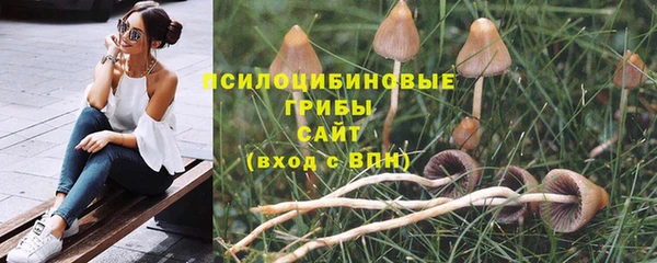 круглые Заводоуковск