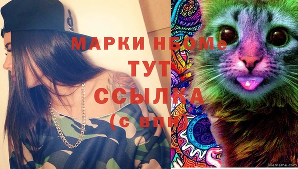 круглые Заводоуковск