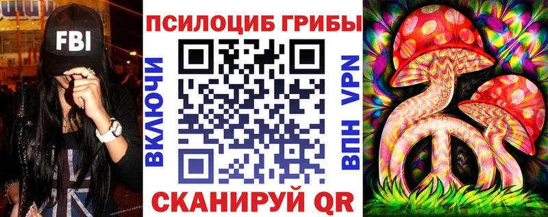 купить   Зеленогорск  Галлюциногенные грибы Psilocybe 